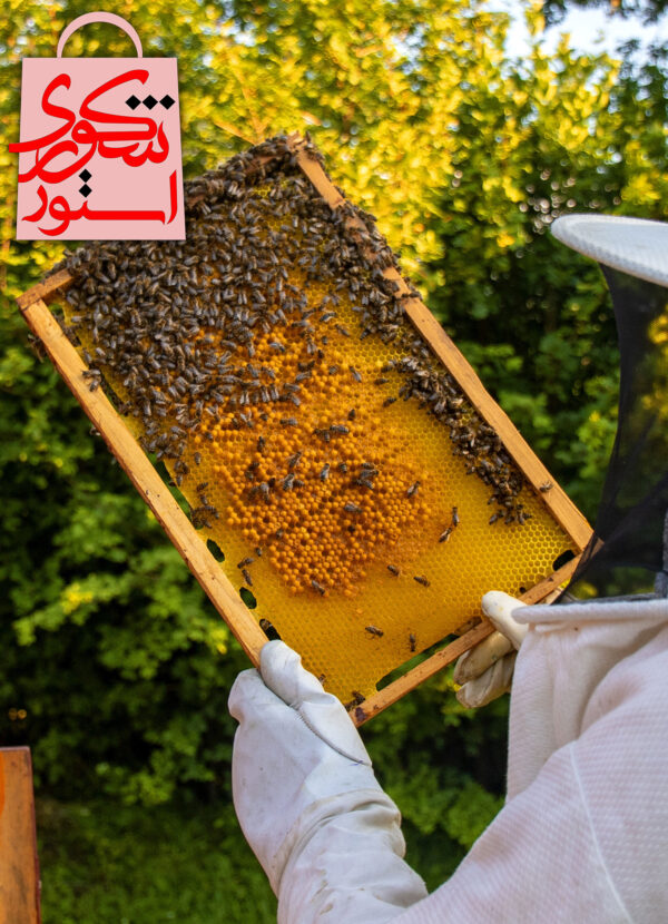 شکوری استور فروش عسل طبیعی خلخال تولید کوهستان های خلخال