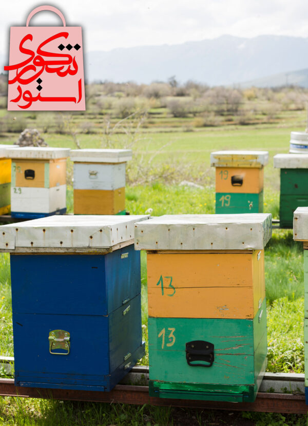 شکوری استور فروش عسل طبیعی خلخال تولید کوهستان های خلخال