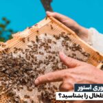 عسل طبیعی خلخال را بشناسید؟