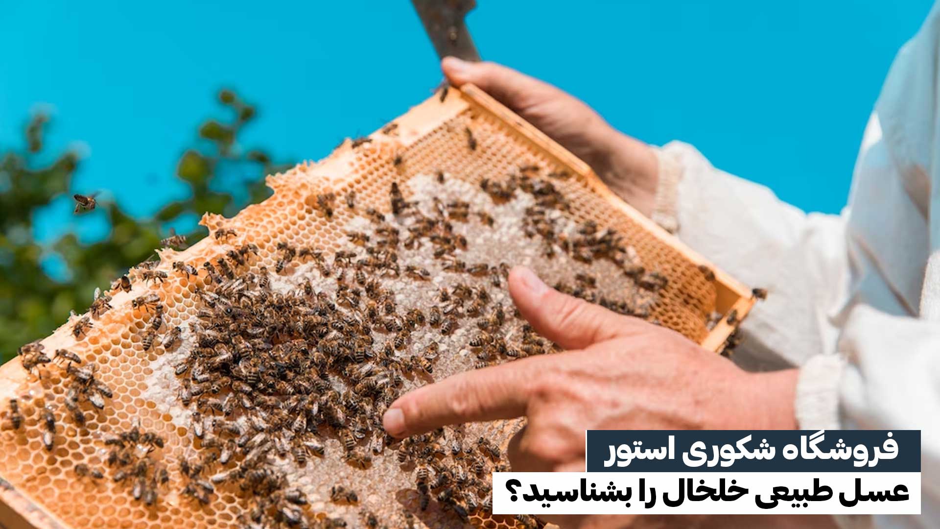 عسل طبیعی خلخال را بشناسید؟