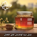 عسل شهد کوهستان های خلخال خرید از عسل شکوری